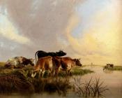 Cattle Watering - 托马斯·辛德尼·库珀